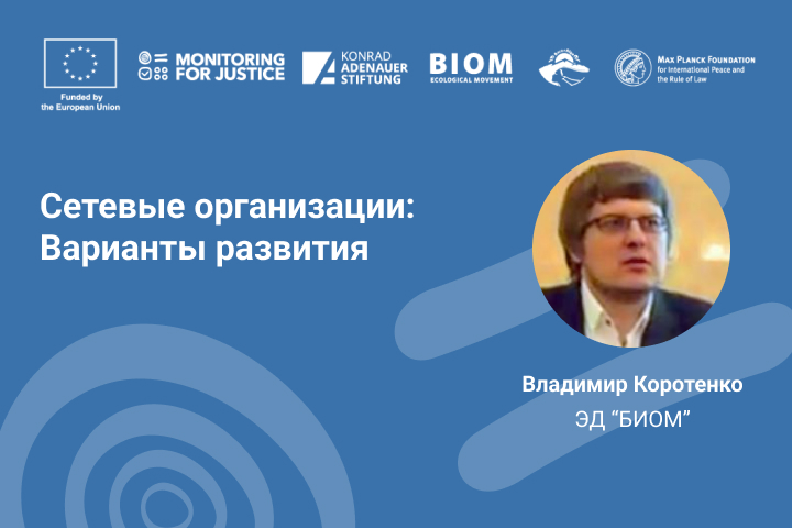 Сетевые организации: Варианты развития