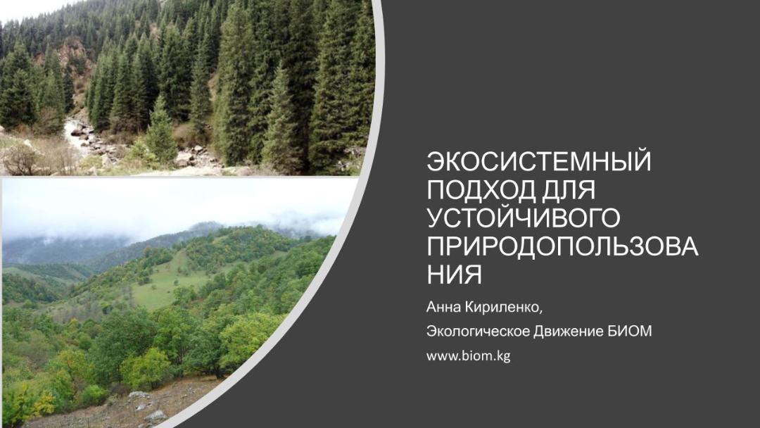 Экосистемный подход для устойчивого природопользования